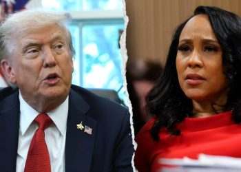 MIKE DAVIS: After Trump case collapses, time for Fani Willis to lawyer up